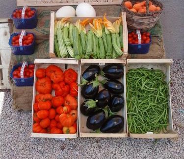 Montalto di Castro House | B&B Corte degli Struzzi