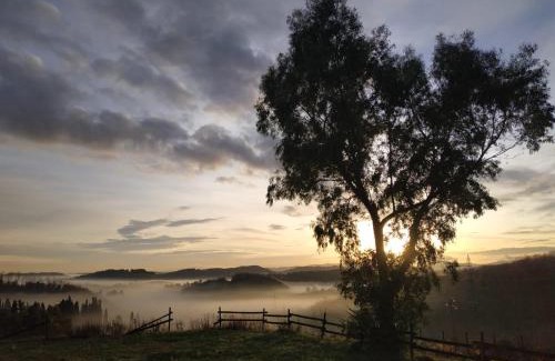 Collesalvetti Bed & Breakfast | B & B CUORE TOSCANO