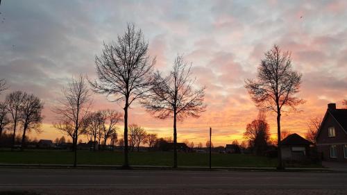 Nistelrode Bed & Breakfast | B&B De Zeven Berken