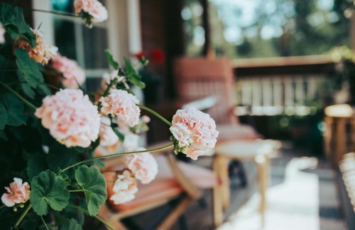 Sauvo Bed & Breakfast | B&B Elämys Ämmi