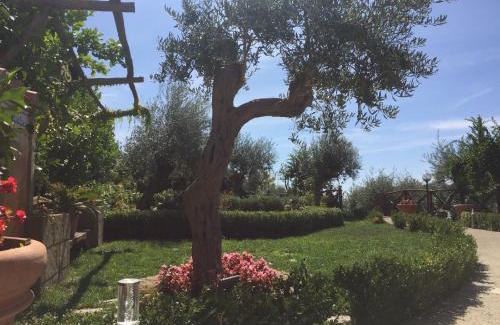 Campinola Bed & Breakfast | B&B Fior Tramonti