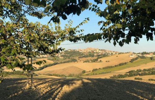 Filottrano Bed & Breakfast | B&B I Pini Di Storaco