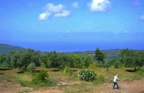 Filadelfia Bed & Breakfast | B&B Il Giardino di Circe - Filadelfia (VV)