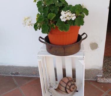 Bagnacavallo Bed & Breakfast | B&B La Chiocciola