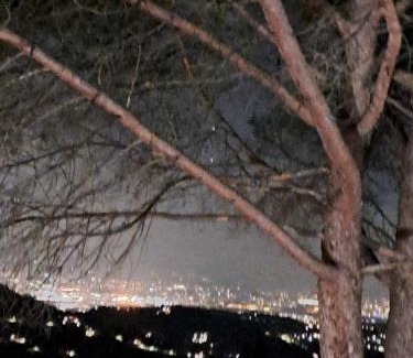 Fiesole Bed & Breakfast | B&B La Dimora di Alida