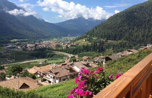 Male Bed & Breakfast | B&B La Marmotta