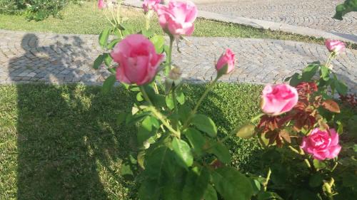 Serravalle Scrivia Bed & Breakfast | B&b la valletta