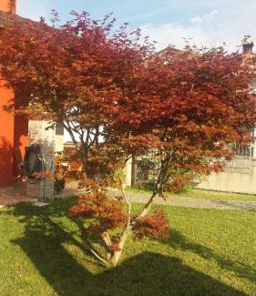 Serravalle Scrivia Bed & Breakfast | B&b la valletta