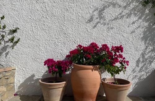 Troviggiano Bed & Breakfast | B&B La Vera Vita