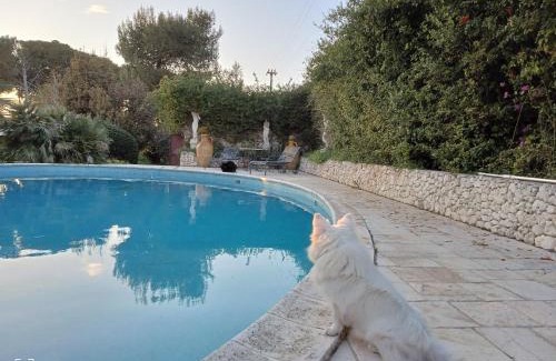 Giorgilorio Bed & Breakfast | B&B Le Amazzoni