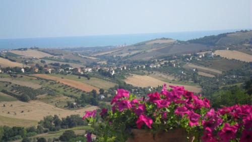 Fermo Bed & Breakfast | B&B Le Terrazze Fermo
