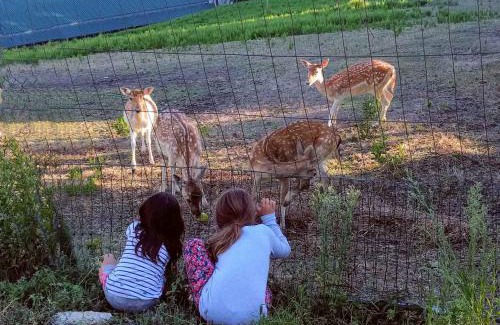 Sogliano al Rubicone Bed & Breakfast | B&B Marcantonio Country House