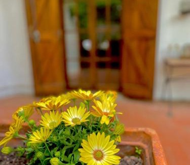 Allumiere Bed & Breakfast | B&B Notti Serene