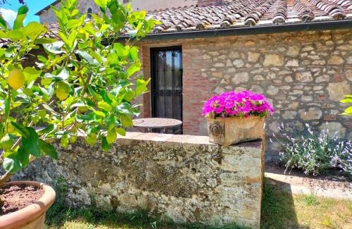 Sovicille Bed & Breakfast | B&B Palazzo a Merse