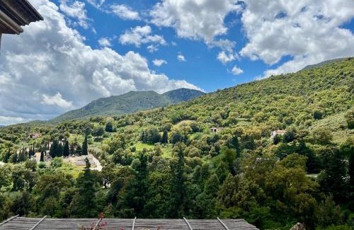 Urzulei Bed & Breakfast | B&B Su Biancu - Sardinian Experience