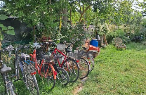 Volano Bed & Breakfast | B&B Susy e Max