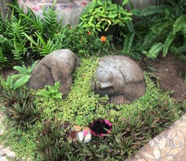 Pursat Province Bed & Breakfast | B&B Verger Vannary