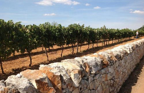 Cisternino Bed & Breakfast | B&B Via dei Trulli