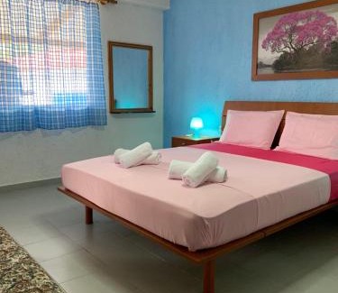 Zola Apartment | B&D 1