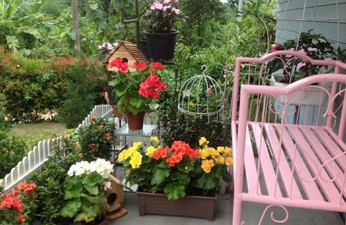 Chiang Rai House | Baan JaoKorKluay