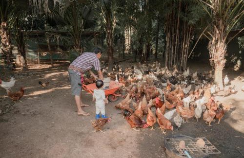 Chong Kham House | Baantonmai Farmstay