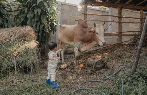 Chong Kham House | Baantonmai Farmstay