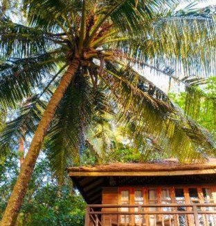 Khura Buri Resort | BABA Ecolodge