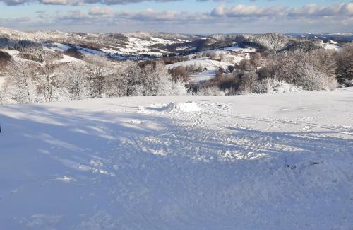 Borowna Bed & Breakfast | Bacówka na Zadzielu