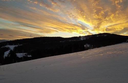 Borowna Bed & Breakfast | Bacówka na Zadzielu