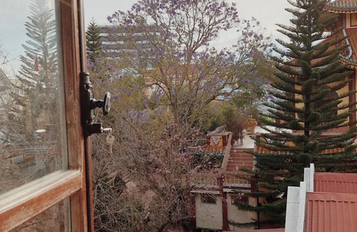 Phuong 10 Villa | Bach Diep House - Entire Villa - Full Equipment