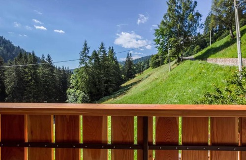 Proves Apartment | Bachwiesl Hof Apt Pichl