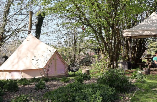 Sint-Antelinks RV Rental | Back-to-Nature - Glamping Zonnebloem A back-to-basics experience