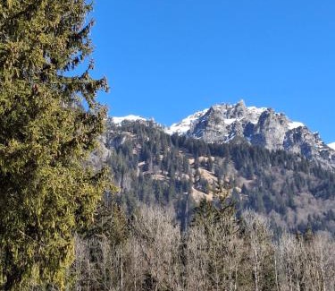 Ausserbraz Apartment | Baers Mountain Stay Außerbraz