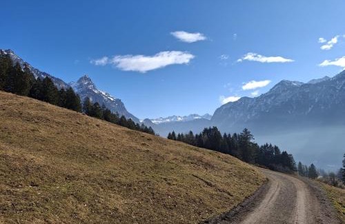 Ausserbraz Apartment | Baers Mountain Stay Außerbraz