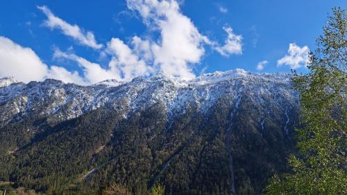 Ausserbraz Apartment | Baers Mountain Stay Außerbraz