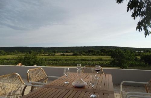 Drnis Villa | Bagulina Comfortable holiday residence