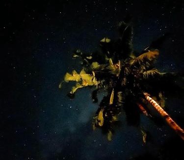 Western Visayas House | Balay Hilway - Cozy Rustic Cabin