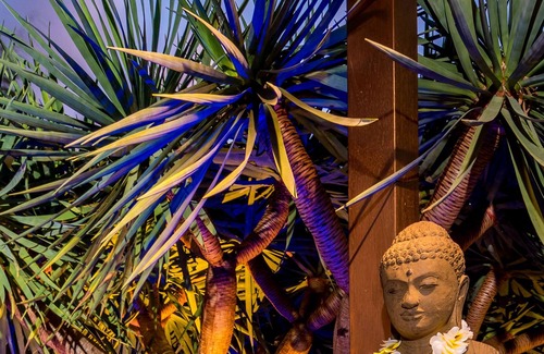 Carrara House | Bali Guesthouse - Couples Retreat (Light Breakfast Incl)