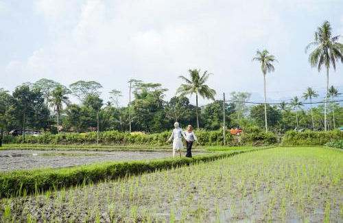 Borobudur Resort | Balkondes Karanganyar Borobudur