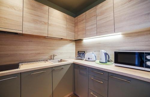 Druskininkai Apartment | Ballare House