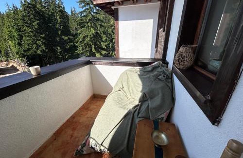 Pamporovo Apartment | Bambi