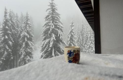 Pamporovo Apartment | Bambi