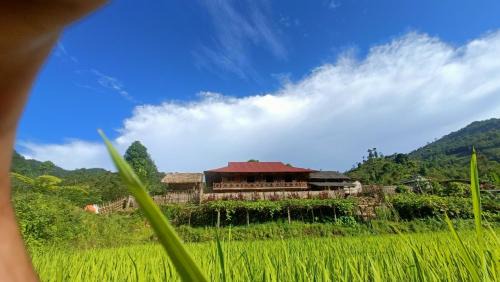 Bac Ha Cabin | BAN LIEN Homestay VANG A BINH