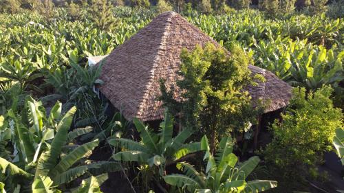 Mto wa Mbu Hotel | Banana farm lodge