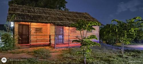 Hampi House | Banana Tree Home Stay