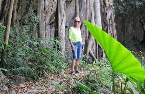 Pak Khlong Resort | Bang Boet Bay Beach Resort