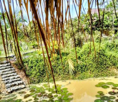 Kampot House | Banteay Srey Women's Only Traditional Spa and Homestay