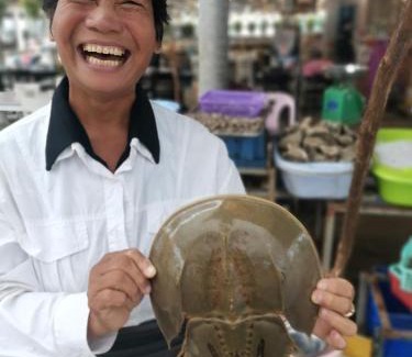 Svay Pao House | Bar Ang Guesthouse