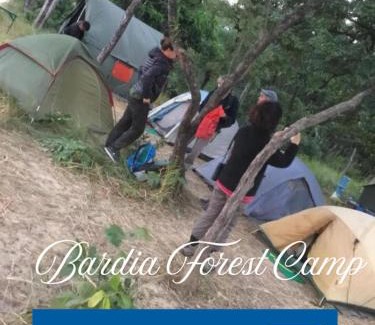 Bardia Other | Bardia Forest Camp