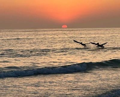 Indian Shores Apartment | Barefoot Beach Resort in Indian Shores Minutes from Clearwater Beach